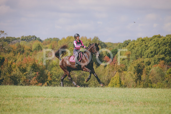 RWP_0443