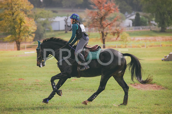 RWP_0483