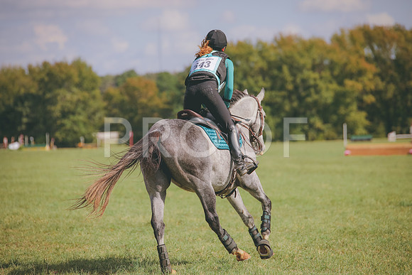 RWP_0497