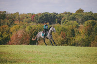 RWP_0491