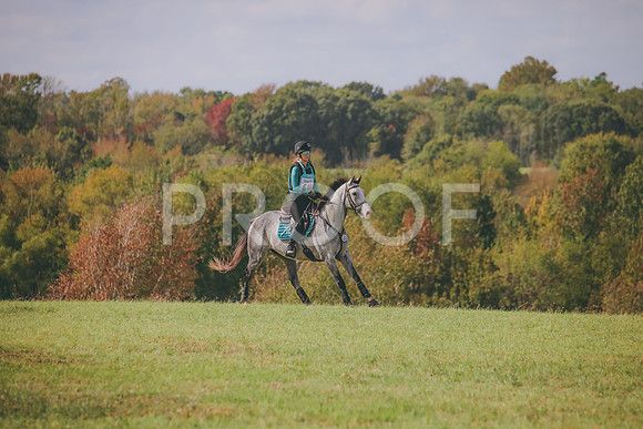 RWP_0491