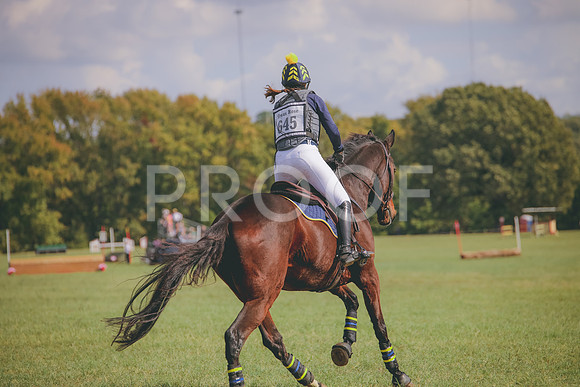 RWP_0519
