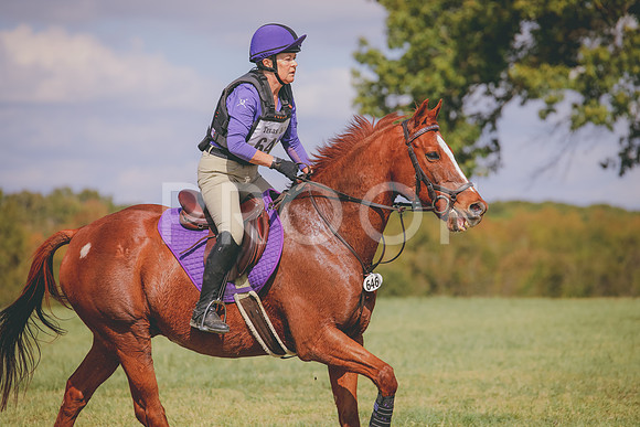 RWP_0529