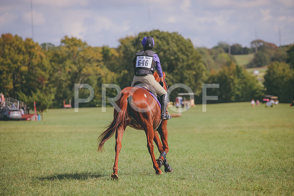 RWP_0531