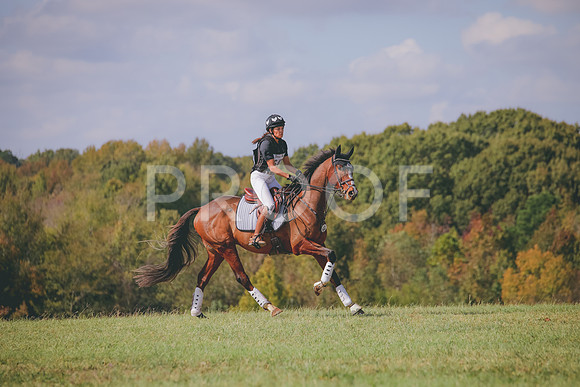 RWP_0535