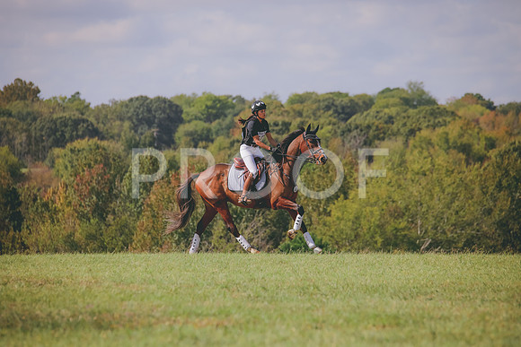 RWP_0533