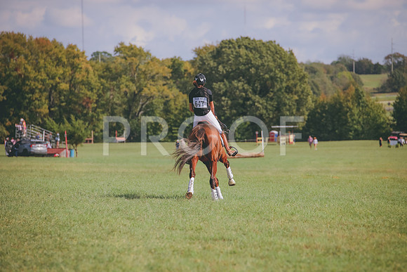 RWP_0542