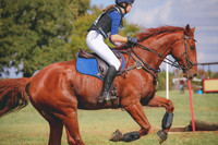 RWP_0615