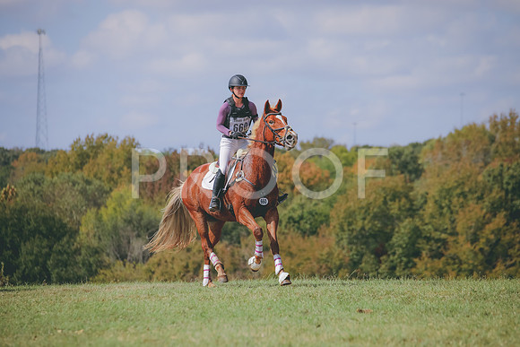 RWP_0663