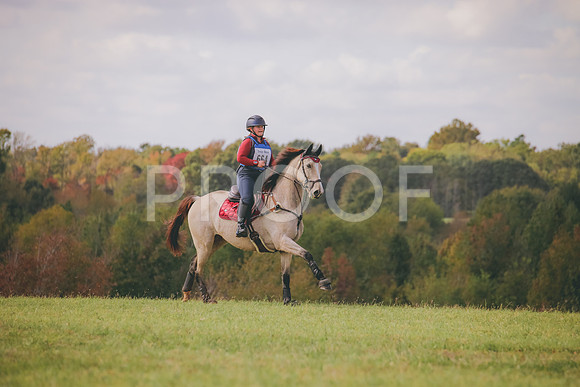 RWP_0688