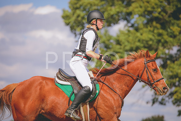 RWP_0731