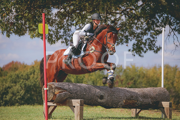 RWP_0739