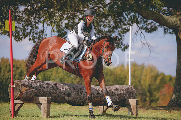 RWP_0740