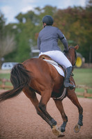 NIKON D4 (16742)