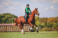 RWP_0774
