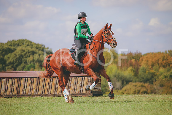 RWP_0774