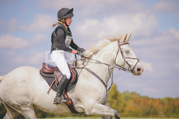 RWP_0818