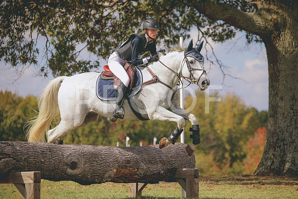 RWP_0827