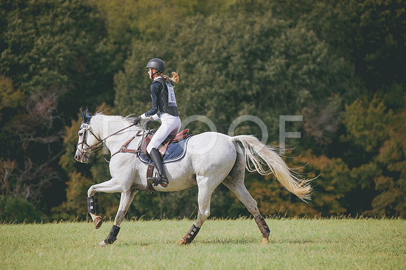 RWP_0822