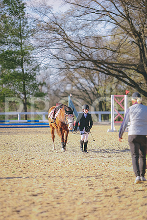 3T5A5067