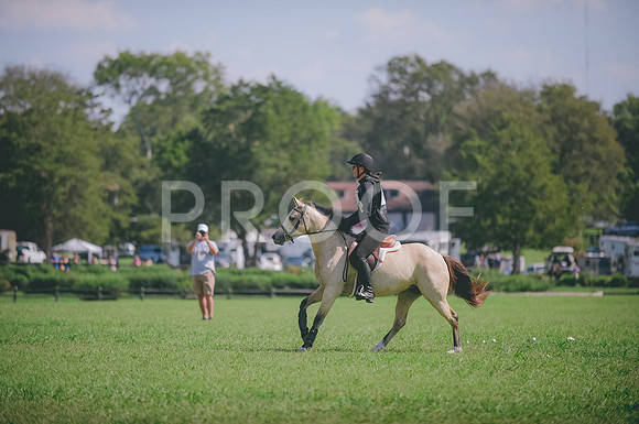 JJS_7045