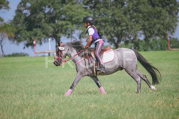 RWP_6454