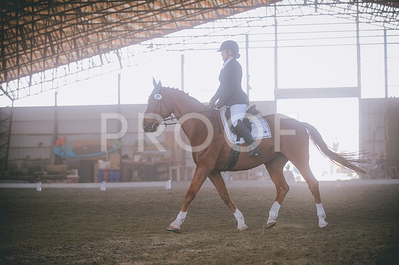 JJS_8521