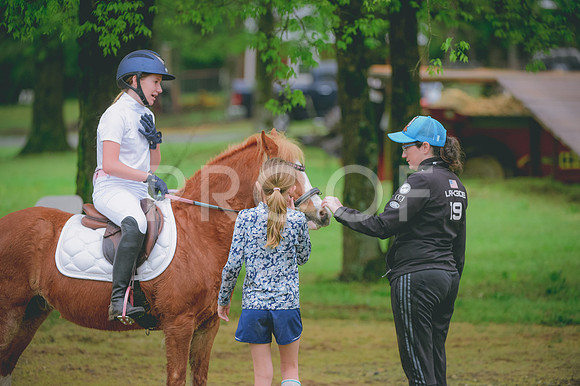 JJS_0856