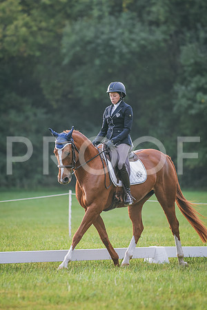 DSC_8182