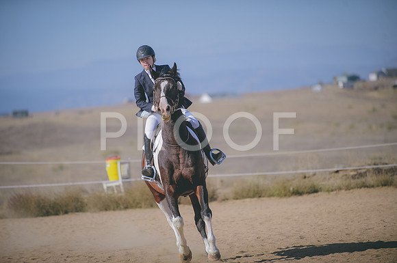 JJS_3138