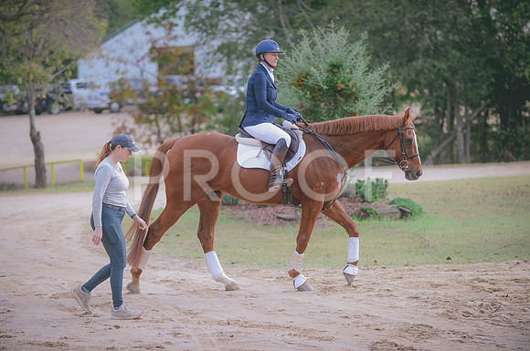 JJS_0745