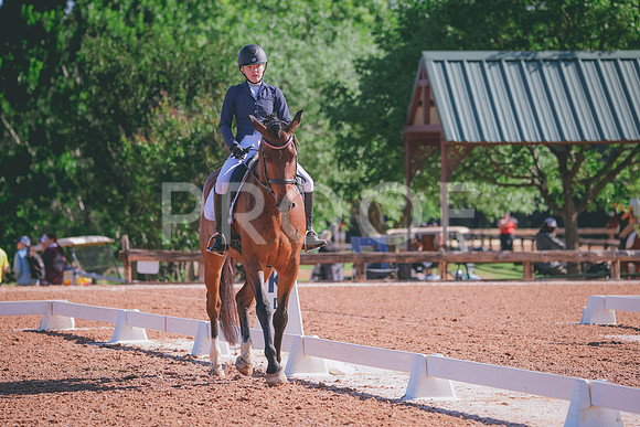RWP_9488