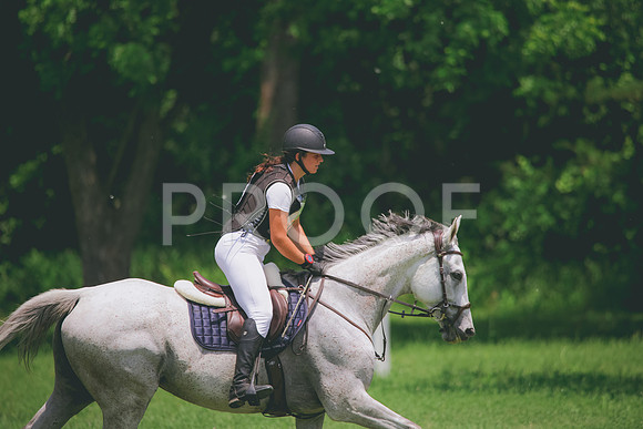 RWP_3624