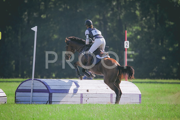 RWP_6193