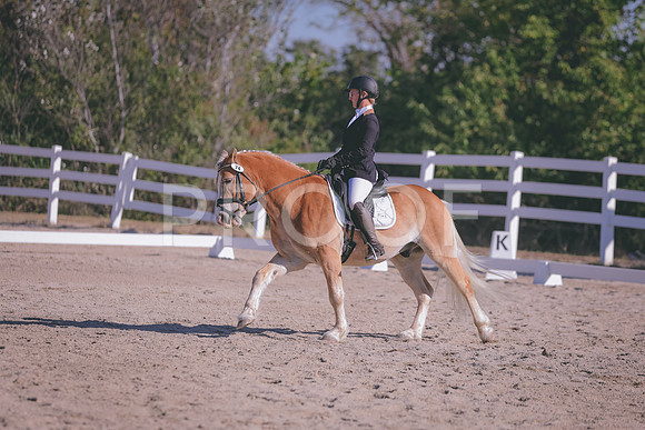 HLJ_2223