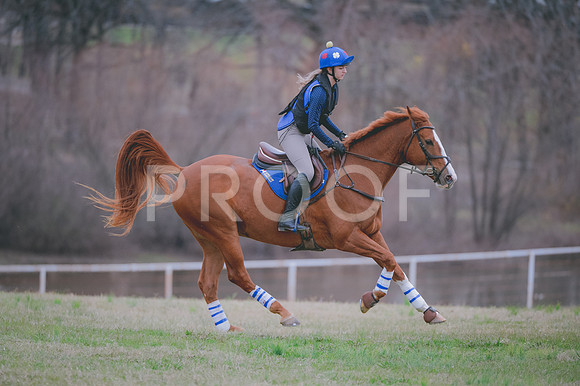 JJS_0804