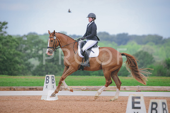RWP_4262