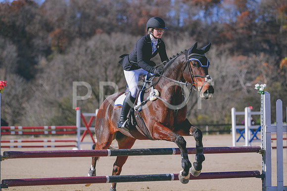 MEI_0039