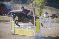 000_1313