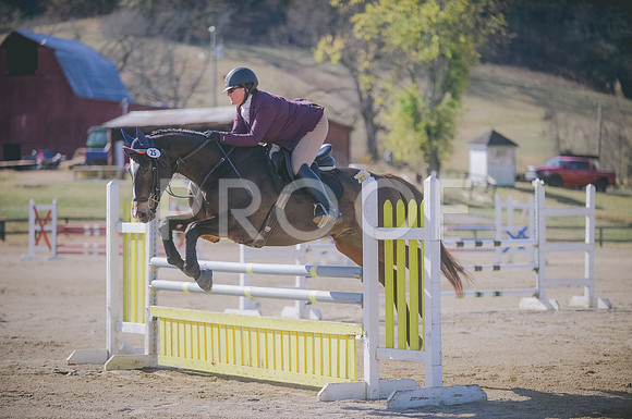 000_1313