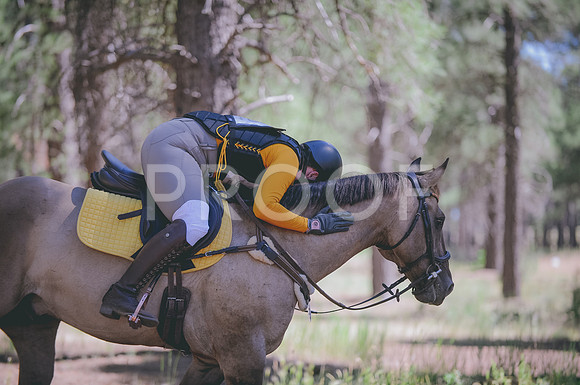 JJS_3096A