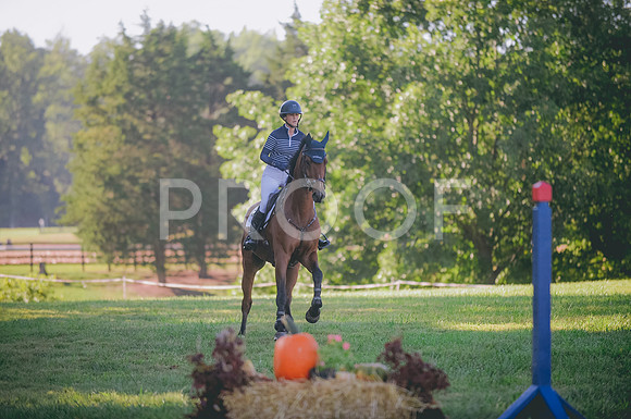 JJS_5277