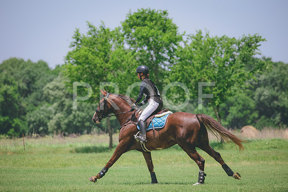 RWP_3280