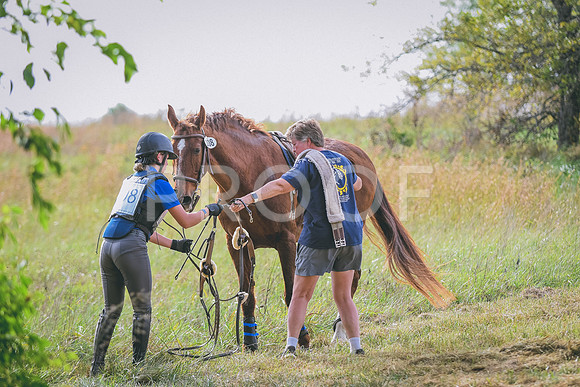 DSC_4272