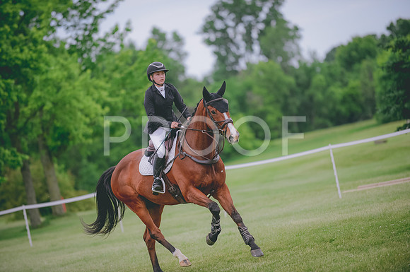 JJS_0678