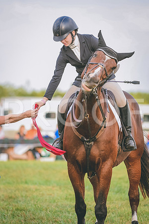 DSC_5500
