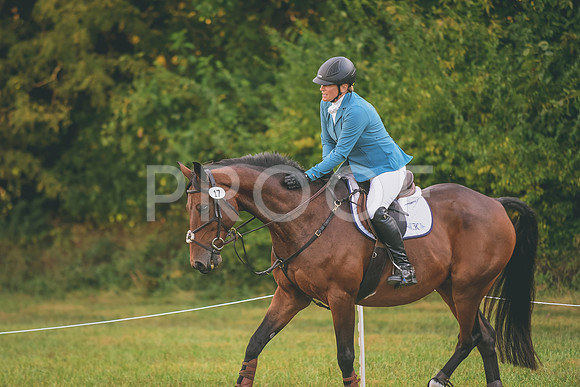 DSC_6097 copy