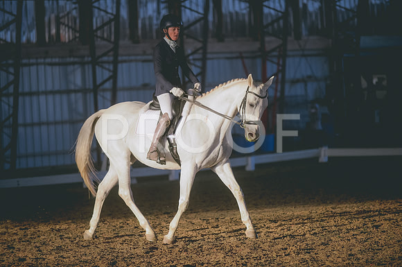JJS_0384