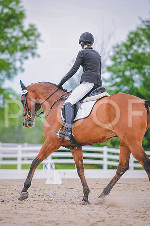DSC_3476 copy