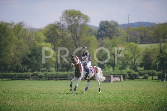 JJS_7869